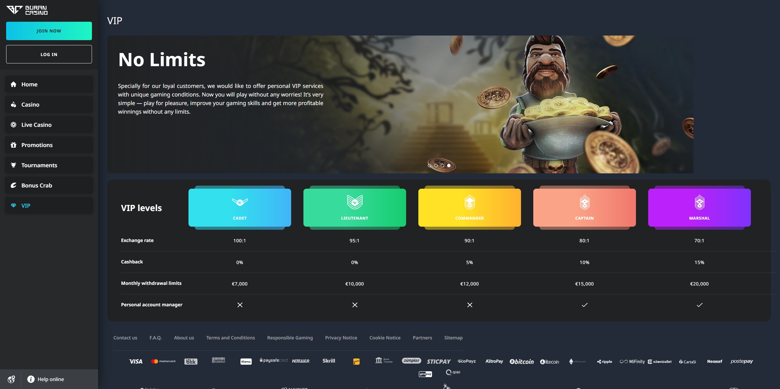 Buran Casino screenshot 4